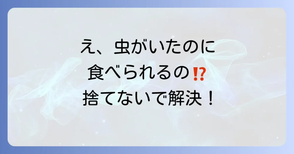 被害に遭ったカボチャは食べられる?気になる疑問を解決