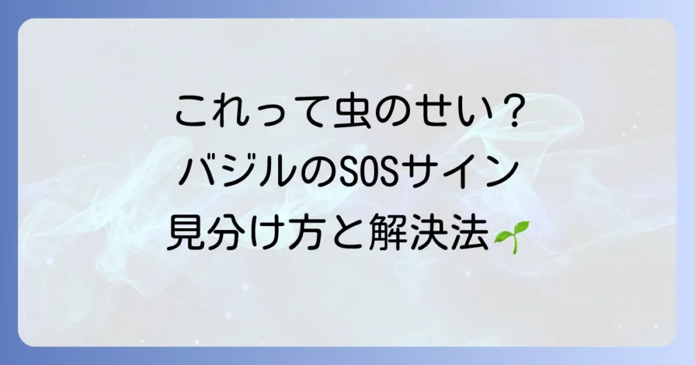 これって虫のせい?バジルのSOSサインと対処法