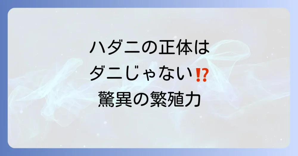 ハダニの正体と生態サイクル