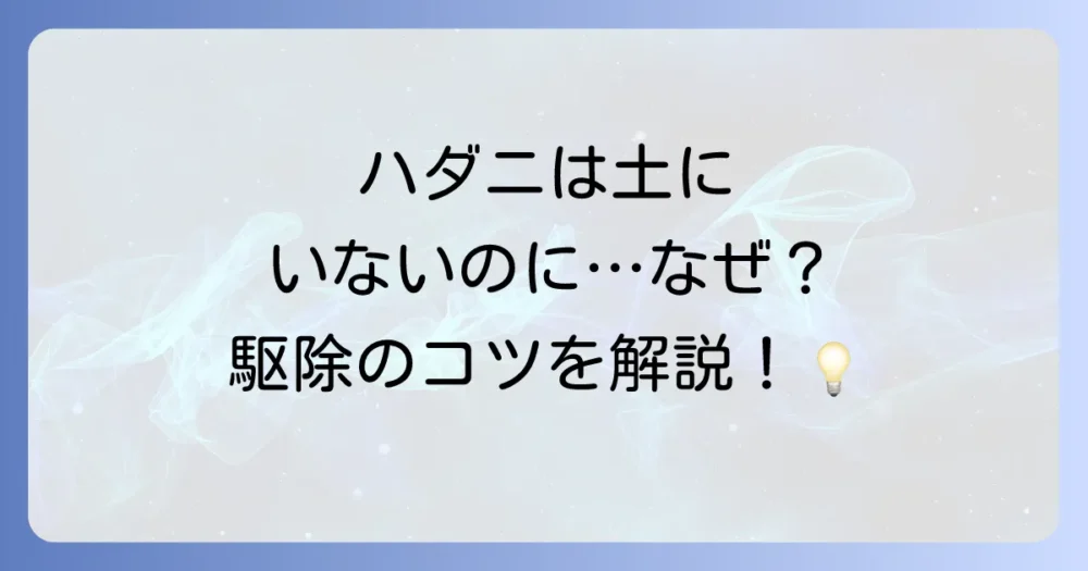 【実践】ハダニの駆除方法|土へのアプローチも解説