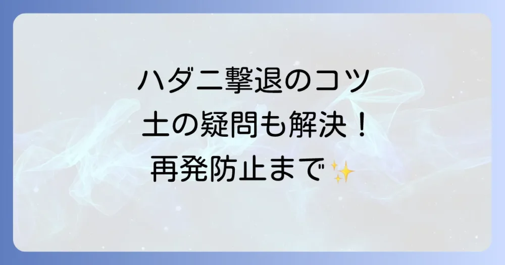 まとめ