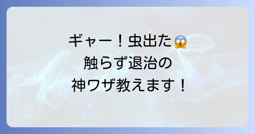 【緊急】虫が出て退治できない!今すぐできる対処法