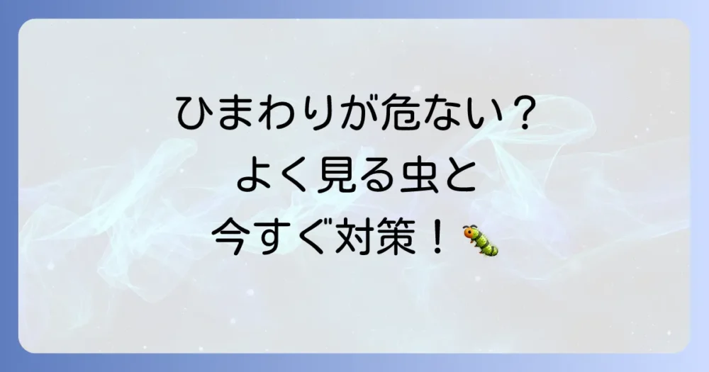 【まずはコレ!】ひまわりでよく見る虫とすぐできる対策