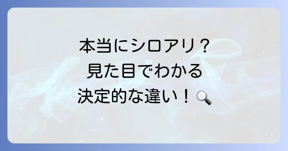 その虫、本当にシロアリ？まずは見た目の違いをチェック