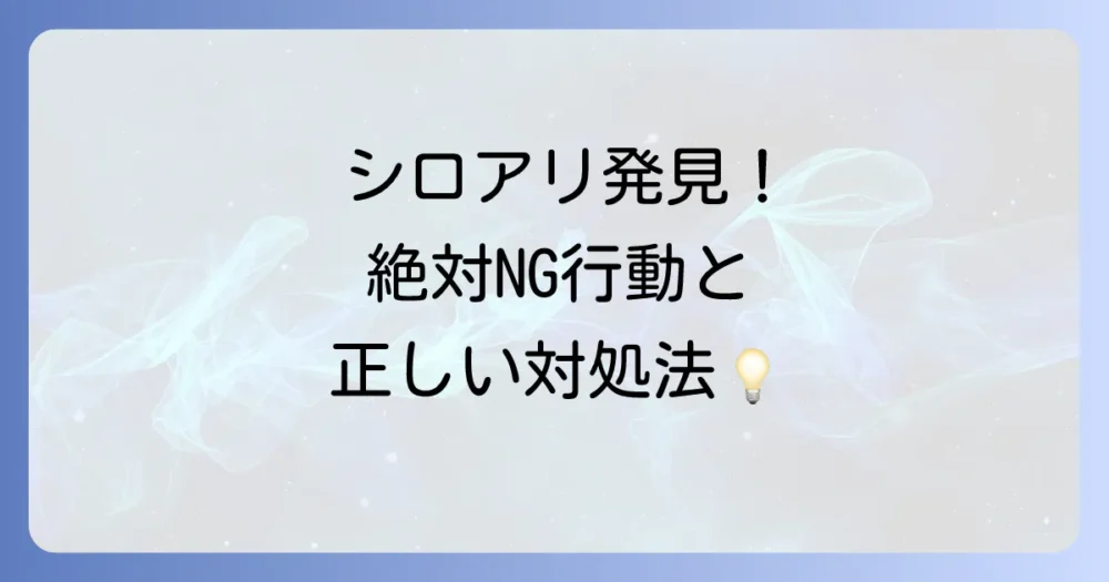 見つけた虫がシロアリだった場合の正しい対処法