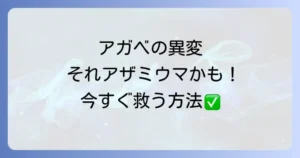 アガベのアザミウマ駆除【完全ガイド】症状の見分け方から最強の対策まで