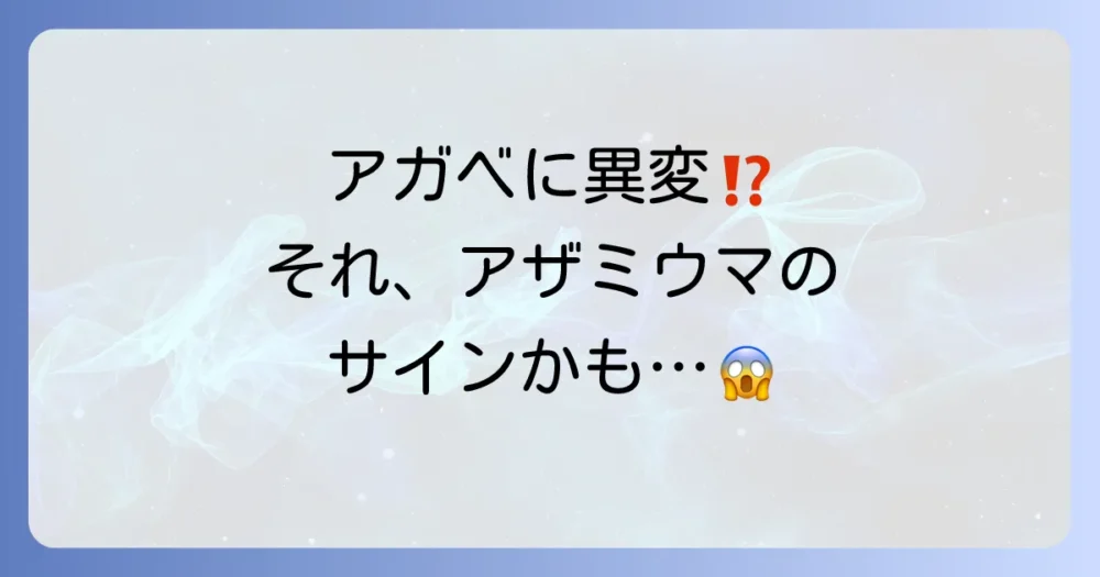 もしかしてアザミウマ?アガベに見られる被害のサイン