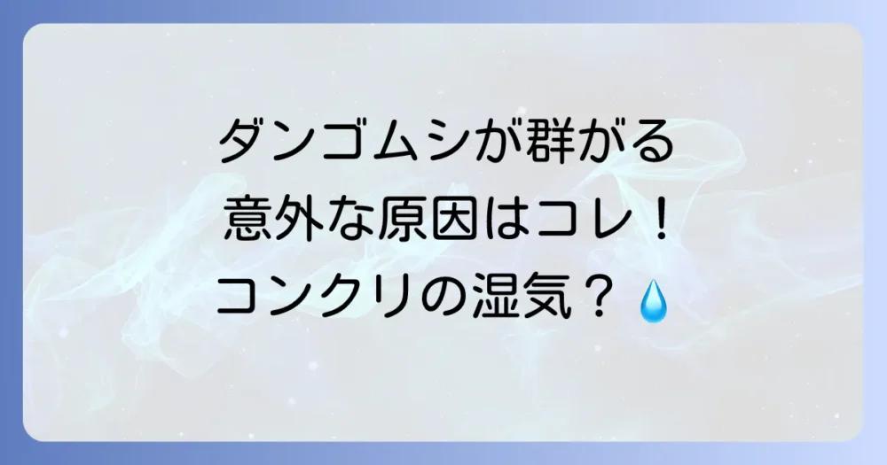 コンクリートの湿気対策がダンゴムシ予防の鍵!