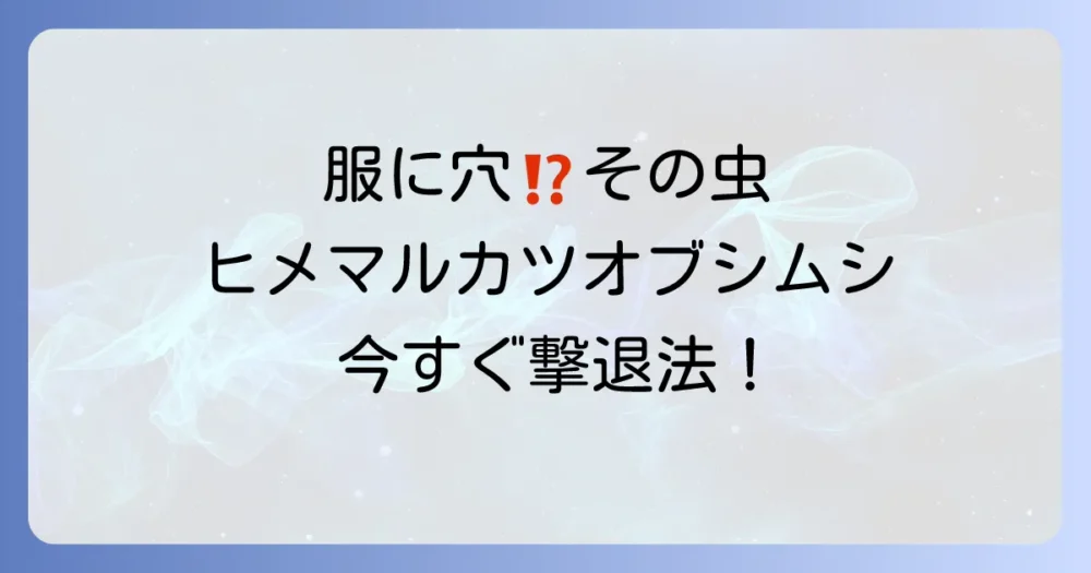 ヒメマルカツオブシムシ駆除に効くスプレーは？おすすめ商品と徹底対策を解説