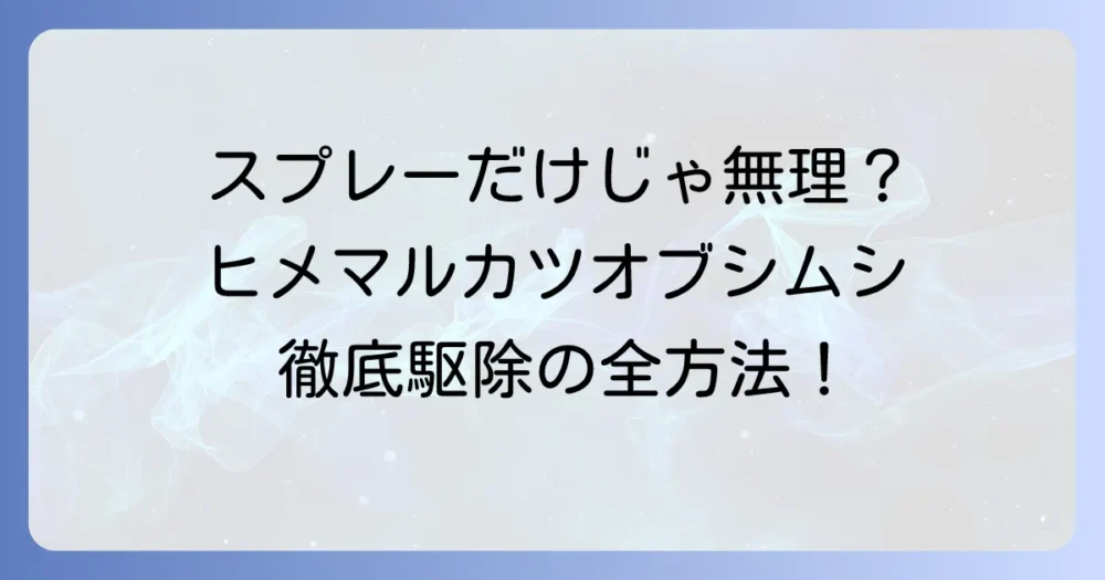 スプレーだけじゃない!状況別ヒメマルカツオブシムシ完全駆除マニュアル