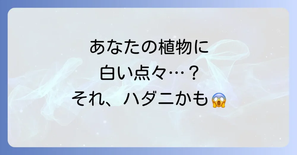 そもそもハダニとは?生態と被害を知って対策しよう