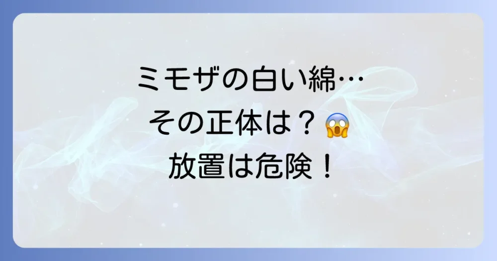 ミモザを襲うカイガラムシの正体と被害