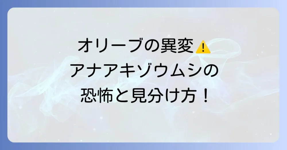 オリーブアナアキゾウムシの恐怖!その生態と被害のサイン