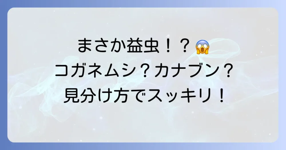 そもそもコガネムシってどんな虫?生態を知って対策に活かす