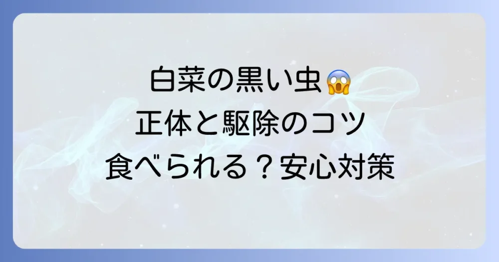 白菜につく黒い虫の正体は？害虫の種類と今すぐできる駆除・予防策を徹底解説！
