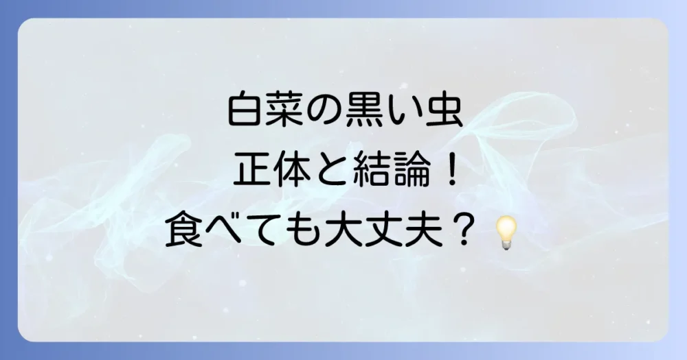 白菜についた黒い虫の正体は?まず結論から