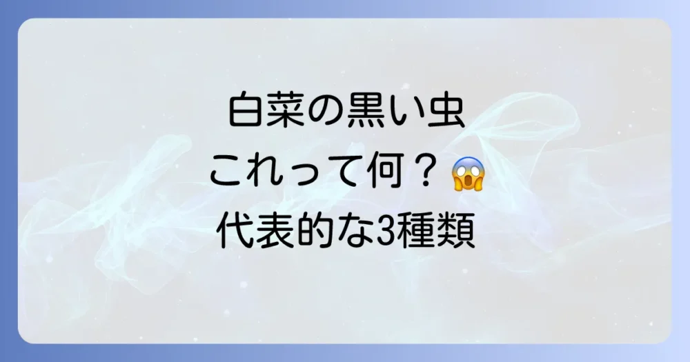 白菜を狙う!代表的な黒い害虫3選