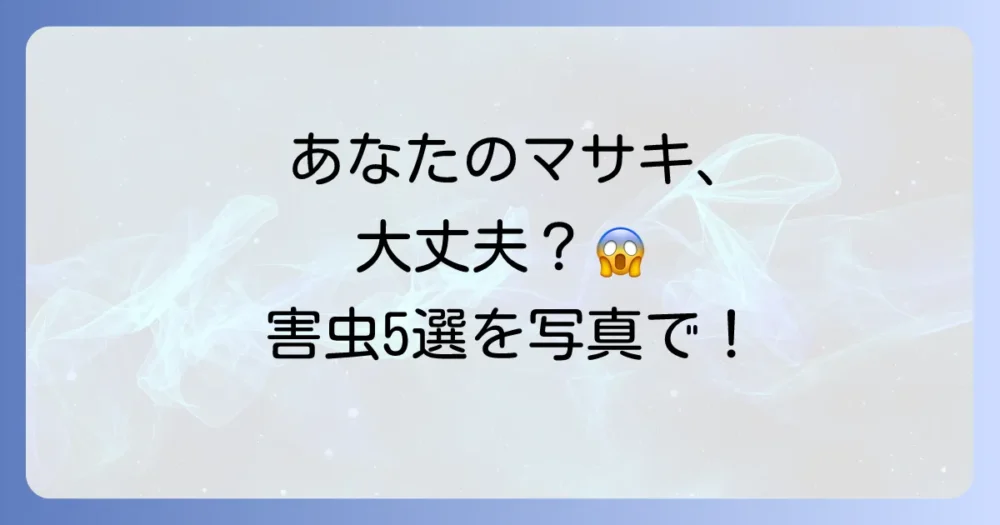 【写真でチェック】あなたのマサキは大丈夫？代表的な害虫5選