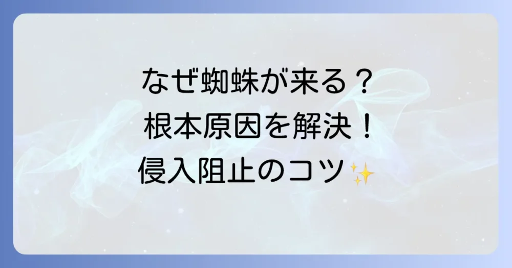 そもそもなぜ家に蜘蛛が？根本原因と侵入防止対策