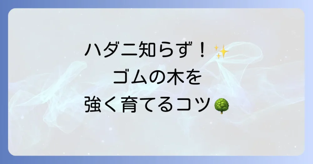 ゴムの木を元気に育てる基本のお手入れ