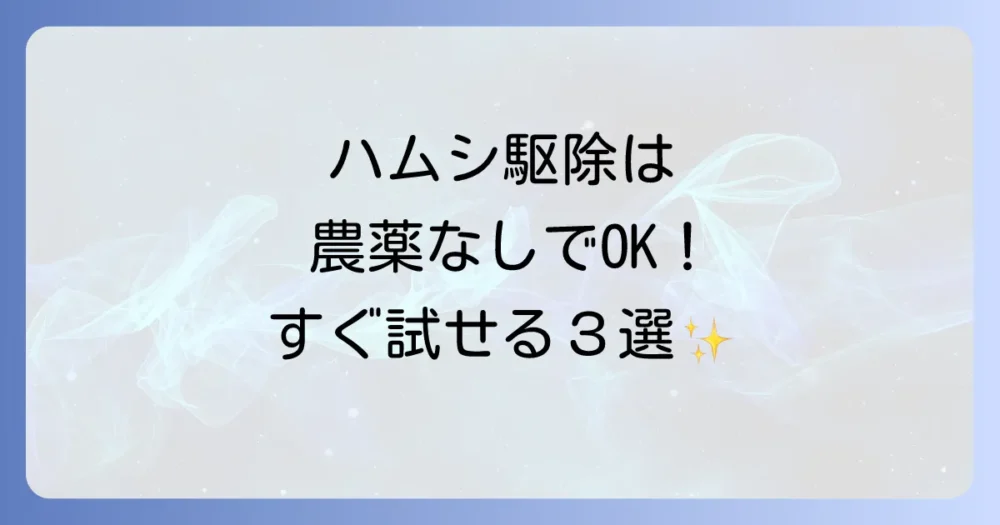 まずはコレ!無農薬でできるハムシの駆除方法トップ3