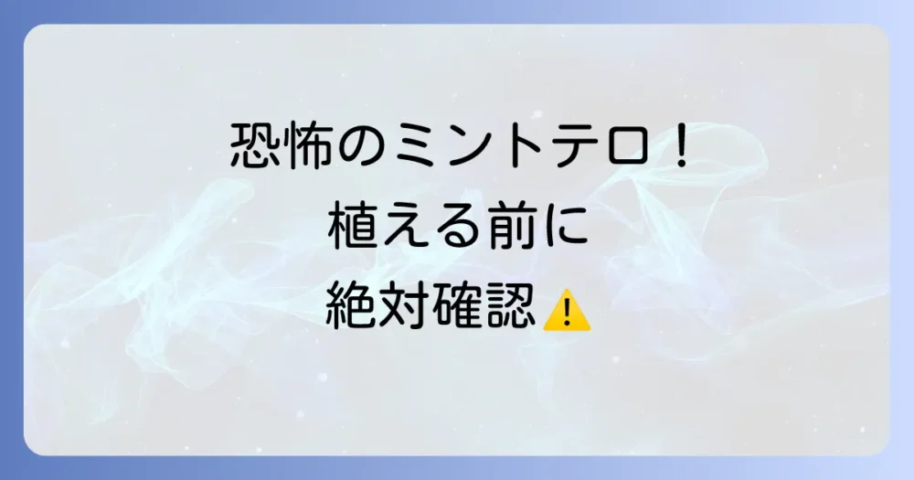 【重要】ミントを使う前に知っておきたい注意点