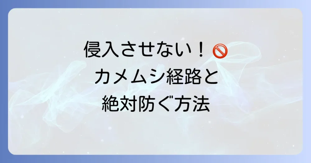 【侵入させない!】カメムシの侵入経路と鉄壁の予防策