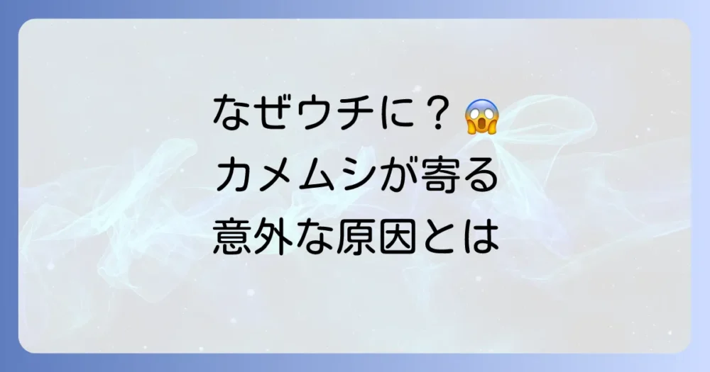 なぜ私の家に?カメムシが寄ってくる原因を知ろう