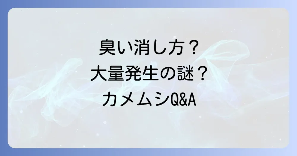 よくある質問