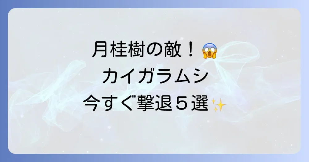 すぐできる!月桂樹のカイガラムシ駆除方法5選