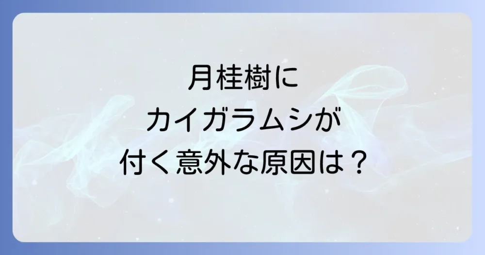 なぜ発生する?月桂樹にカイガラムシがつく原因