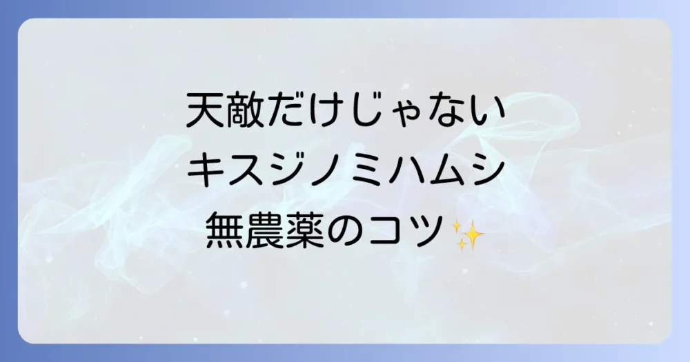 天敵だけに頼らない!農薬を使わないキスジノミハムシ対策