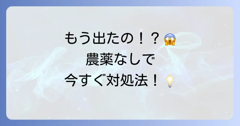 それでも発生した場合の対処法