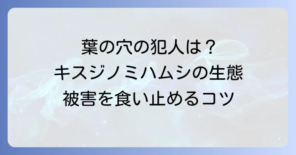 そもそもキスジノミハムシとは?生態を知って対策に活かす