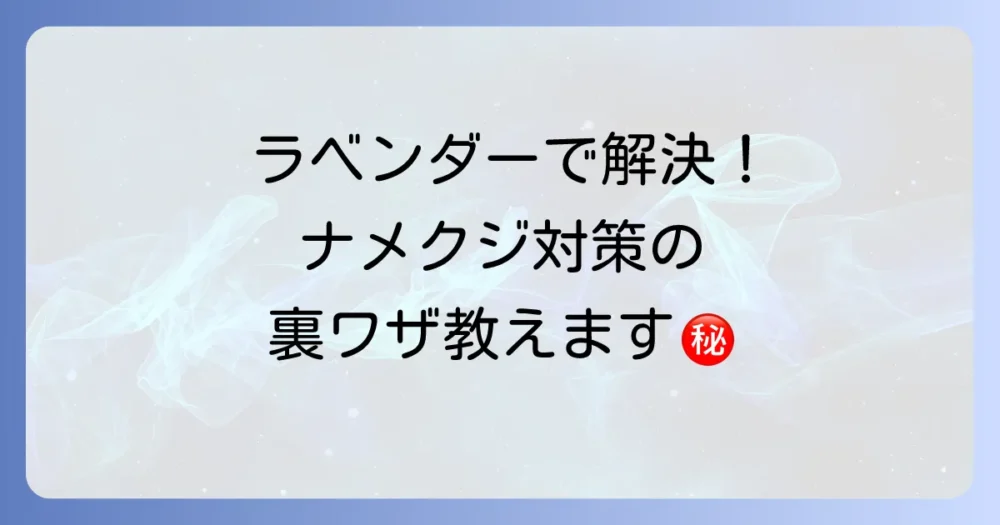 【実践編】ナメクジ対策に効果的なラベンダーの使い方