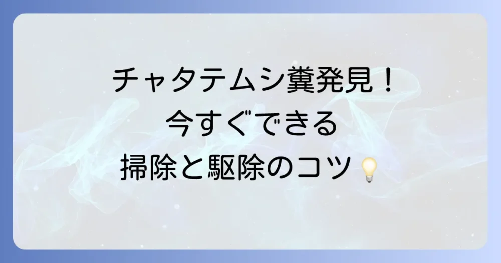 チャタテムシの糞を見つけたら!正しい掃除方法と駆除のステップ