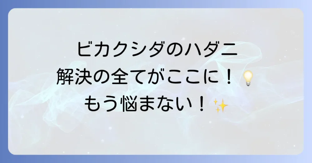 まとめ