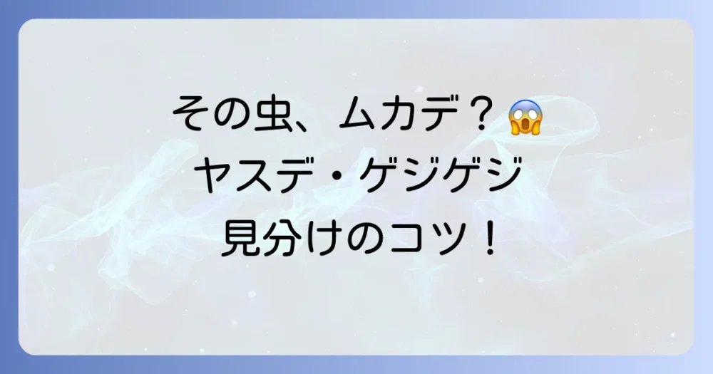 それ、本当にムカデ?似ている虫との見分け方