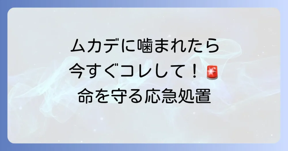 もしムカデに噛まれたら?正しい応急処置