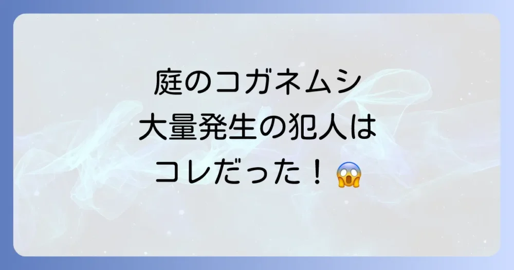 コガネムシが大量発生する3つの主な原因