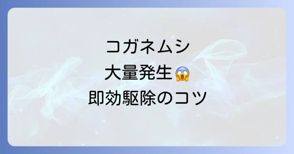 【緊急】大量発生したコガネムシの駆除方法