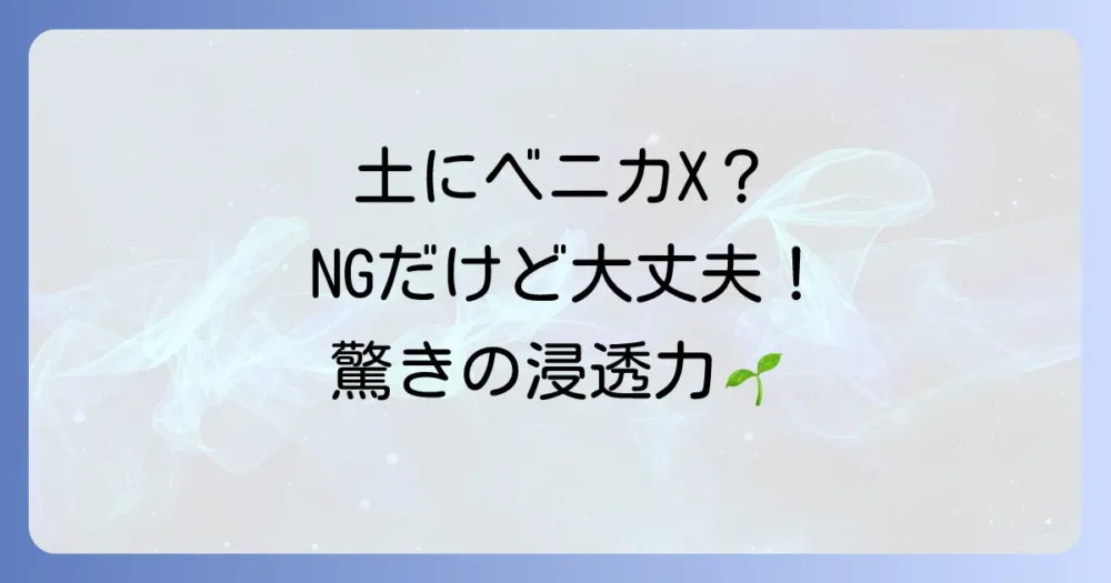 ベニカXファインスプレーは土に直接かけても大丈夫？【影響と正しい使い方を徹底解説】