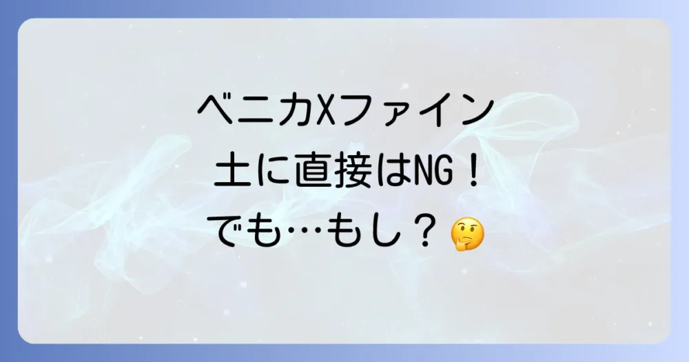 【結論】ベニカXファインスプレーを土に直接散布はNG!でも、かかってしまった場合は?