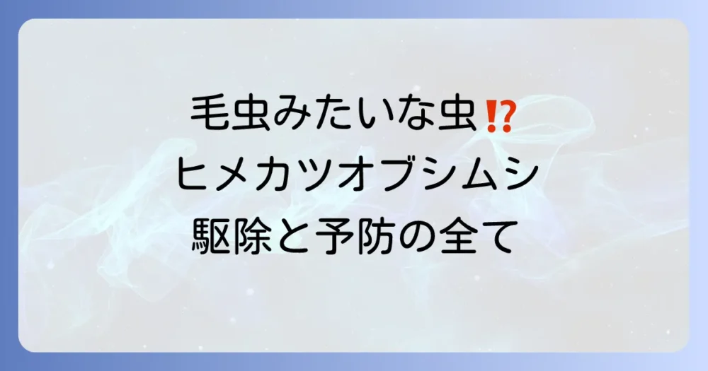 ヒメカツオブシムシの幼虫を徹底駆除！発生源から根絶する効果的な方法と二度と見ないための予防策