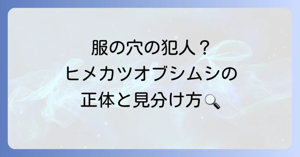 そもそもこの虫は何?ヒメカツオブシムシの正体