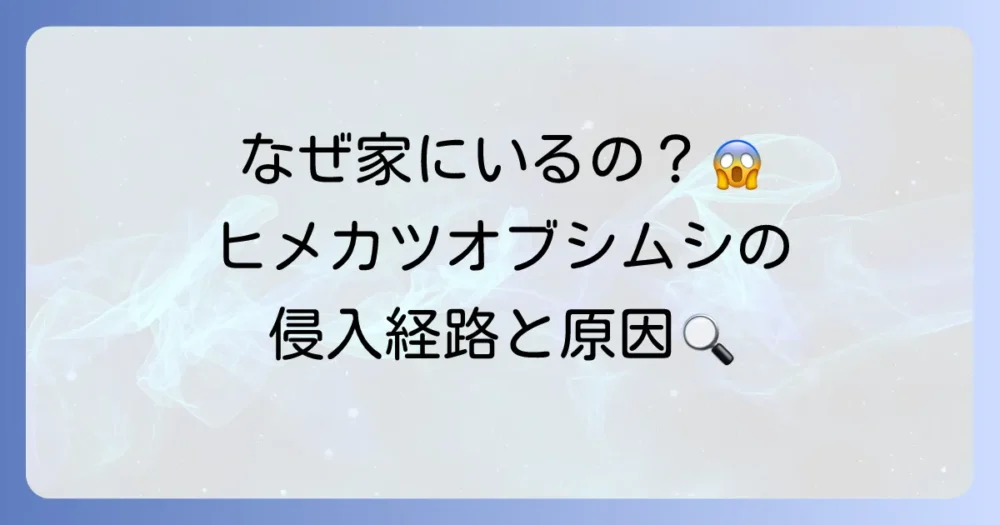 なぜ家にいるの?ヒメカツオブシムシの発生原因と侵入経路