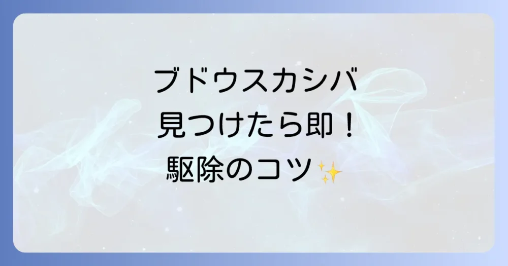 まずはコレ!ブドウスカシバの駆除方法