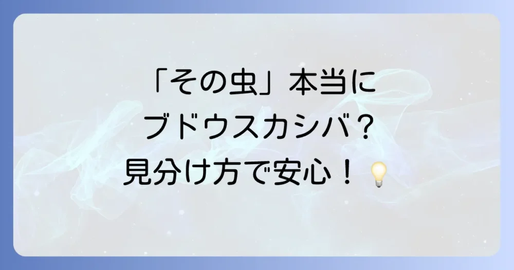 【要注意】ブドウスカシバと間違いやすい害虫