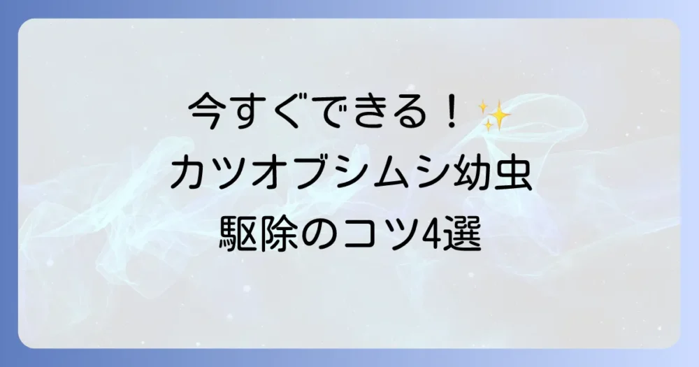 今すぐできる!カツオブシムシ幼虫の徹底駆除方法4選