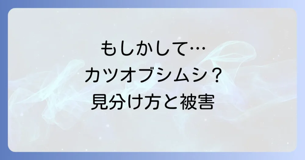 その虫、本当にカツオブシムシ?正体と生態を解説